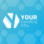 Your Consulting S.R.L.