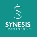 S.C. SYNESIS PARTNERS S.R.L.