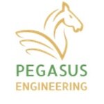 PEGASUS ENGINEERING SRL