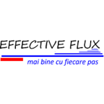 EFFECTIVE FLUX SRL