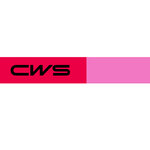 CWS GLOBAL BUSINESS SERVICES S.R.L.