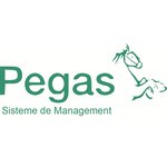 PEGAS SISTEME DE MANAGEMENT SRL