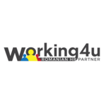 WORKING FOR YOU EXCLUSIVE AGENCY SRL