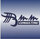 BMM CONSULTING