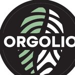 ORGOLIO S.R.L.