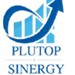 PLUTOP SINERGY S.R.L.