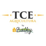 BALKY COM SRL