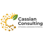 CASSIAN CONSULTING S.R.L.