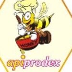APIPRODEX SRL