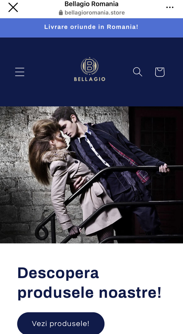 Website