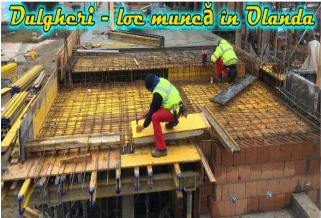 Dulgheri in Constructii, Olanda