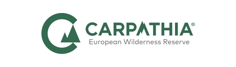 Logo FCC
