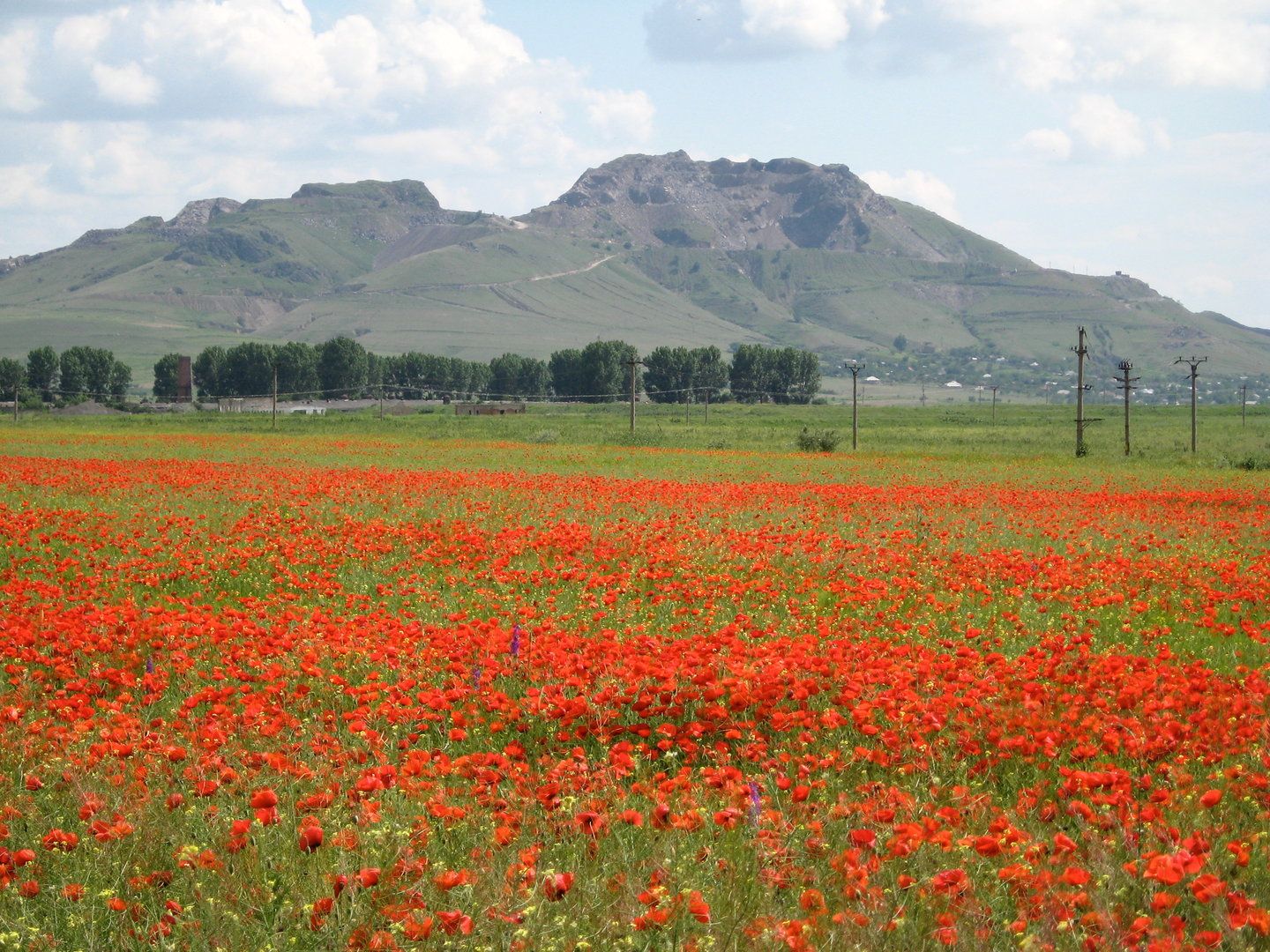 Cariera Turcoaia, vedere de ansamblu, 2008.