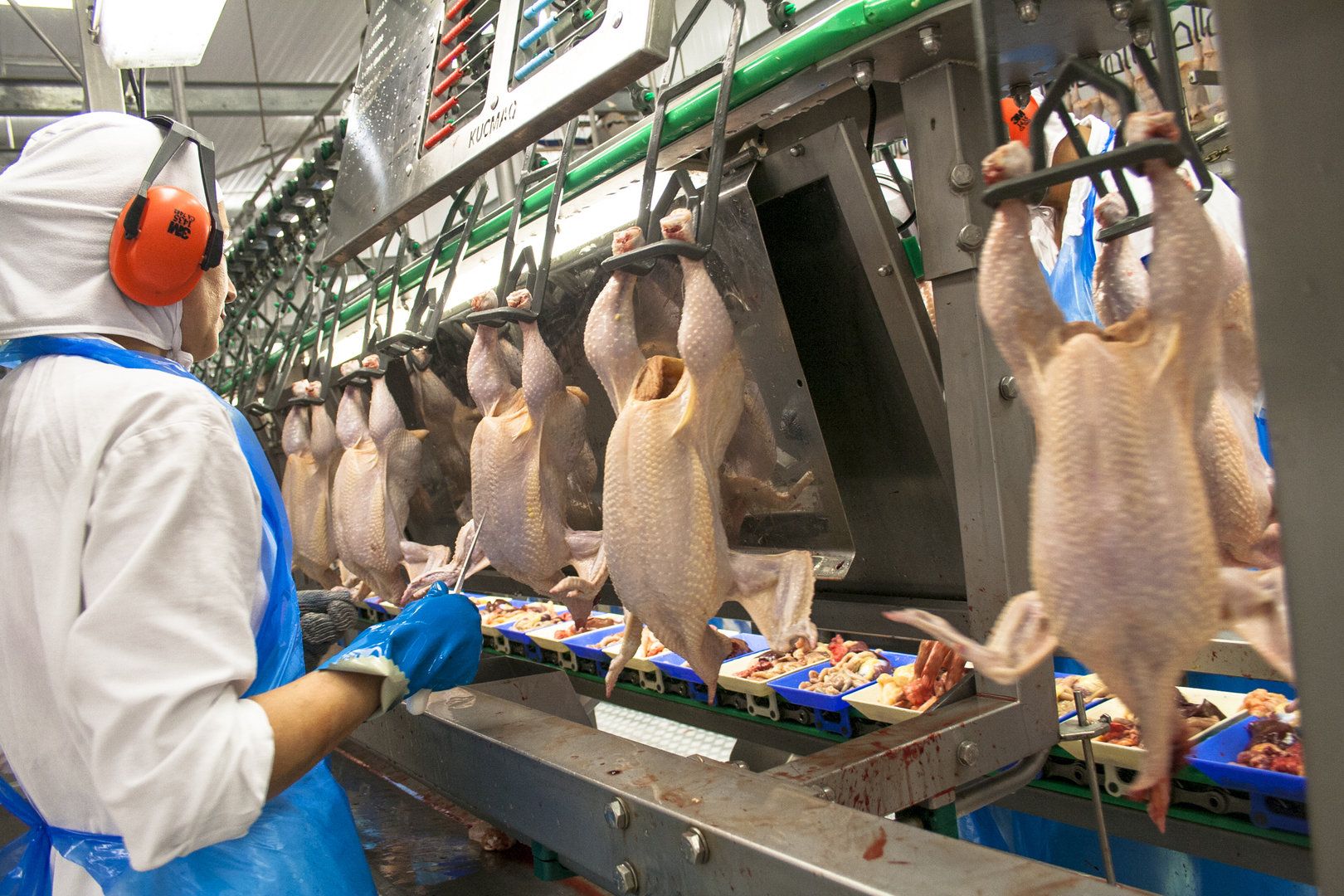 Curățenie și dezinfecție în industria alimentară