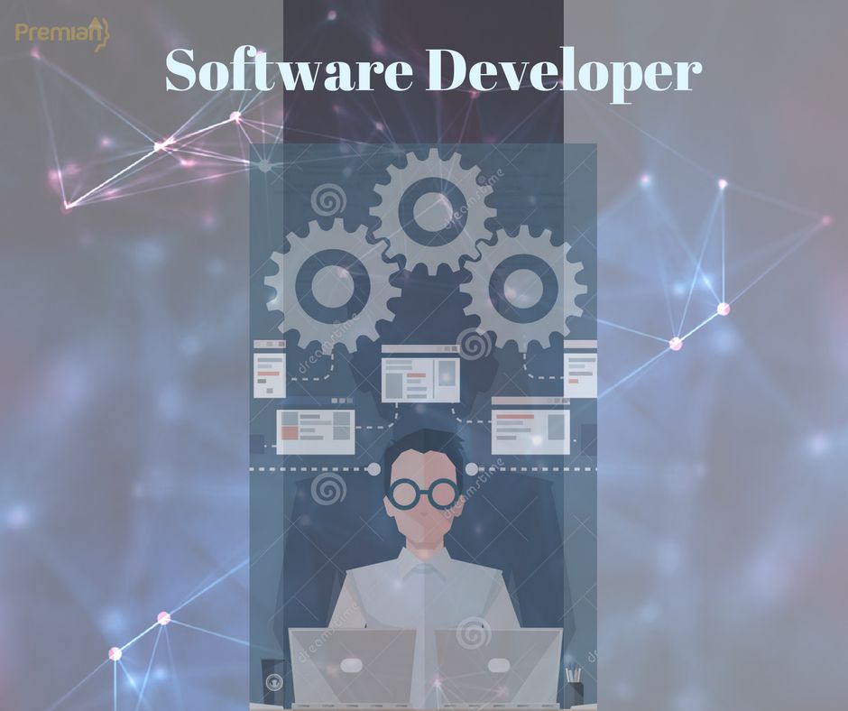 Software Developer