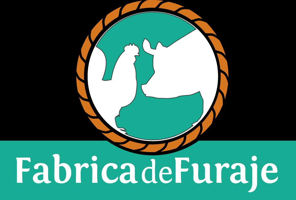 www.fabricadefuraje.ro