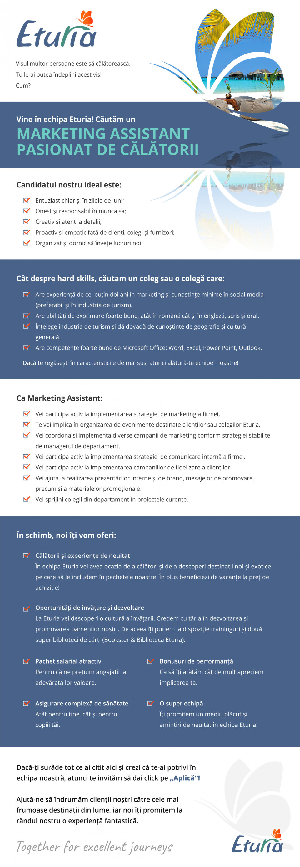 Marketing Assistant