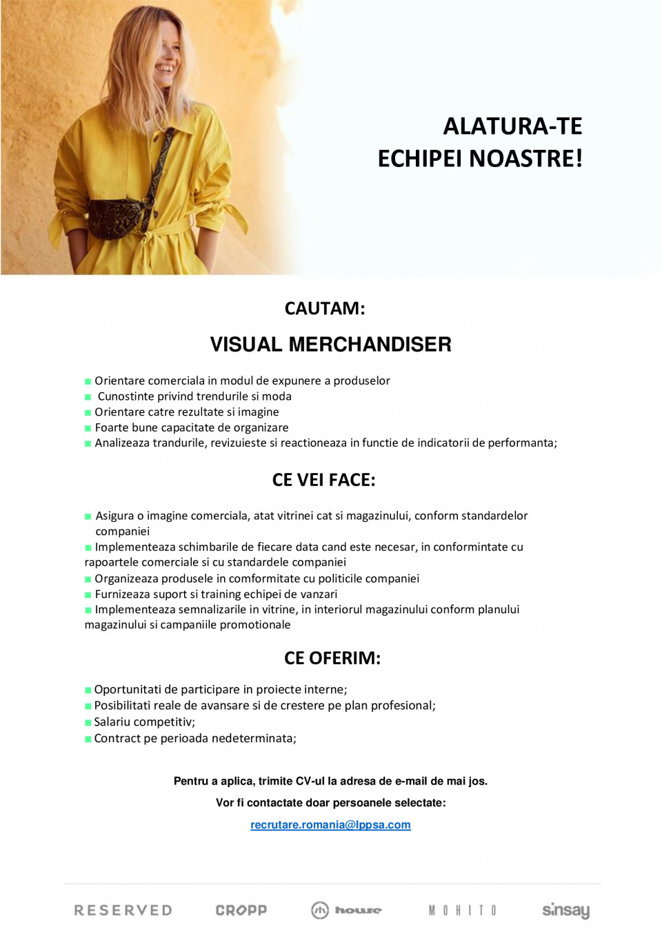 VISUAL MERCHANDISER