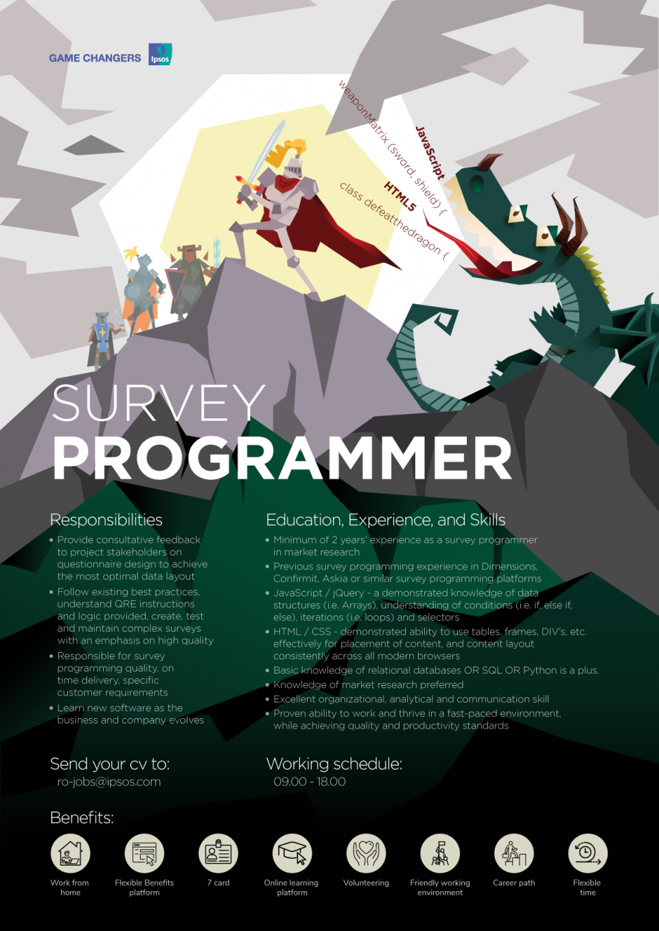 Senior Survey Programmer