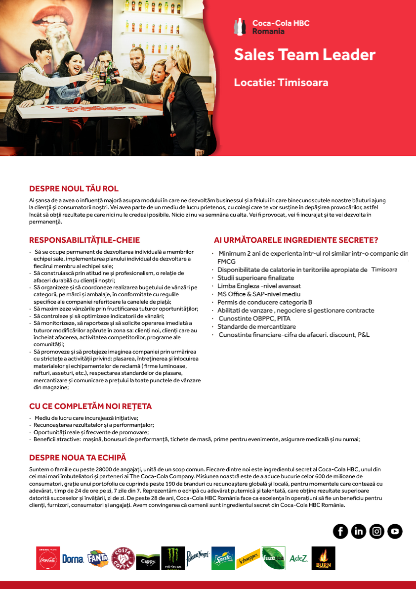 Sales Team Leader - Timisoara