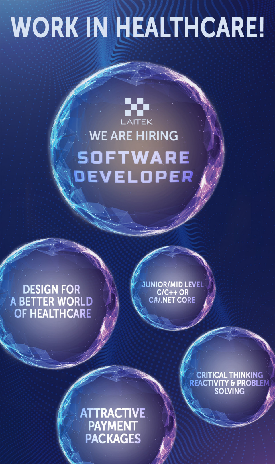 Software Developer