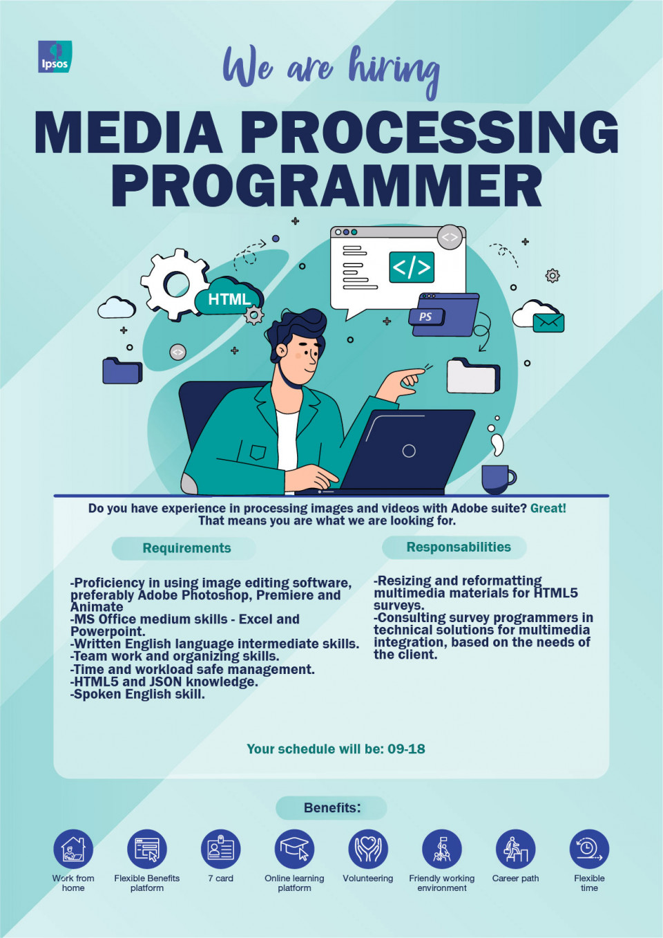 Media Processing Programmer