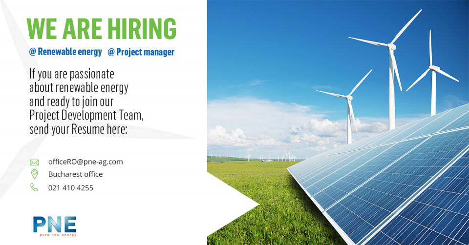 Project Manager