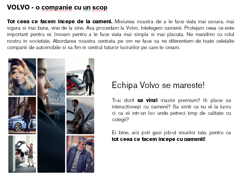 CONSULTANT VANZARI VOLVO