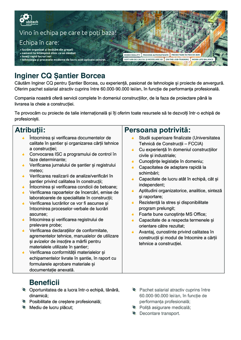 Inginer CQ Santier Borcea