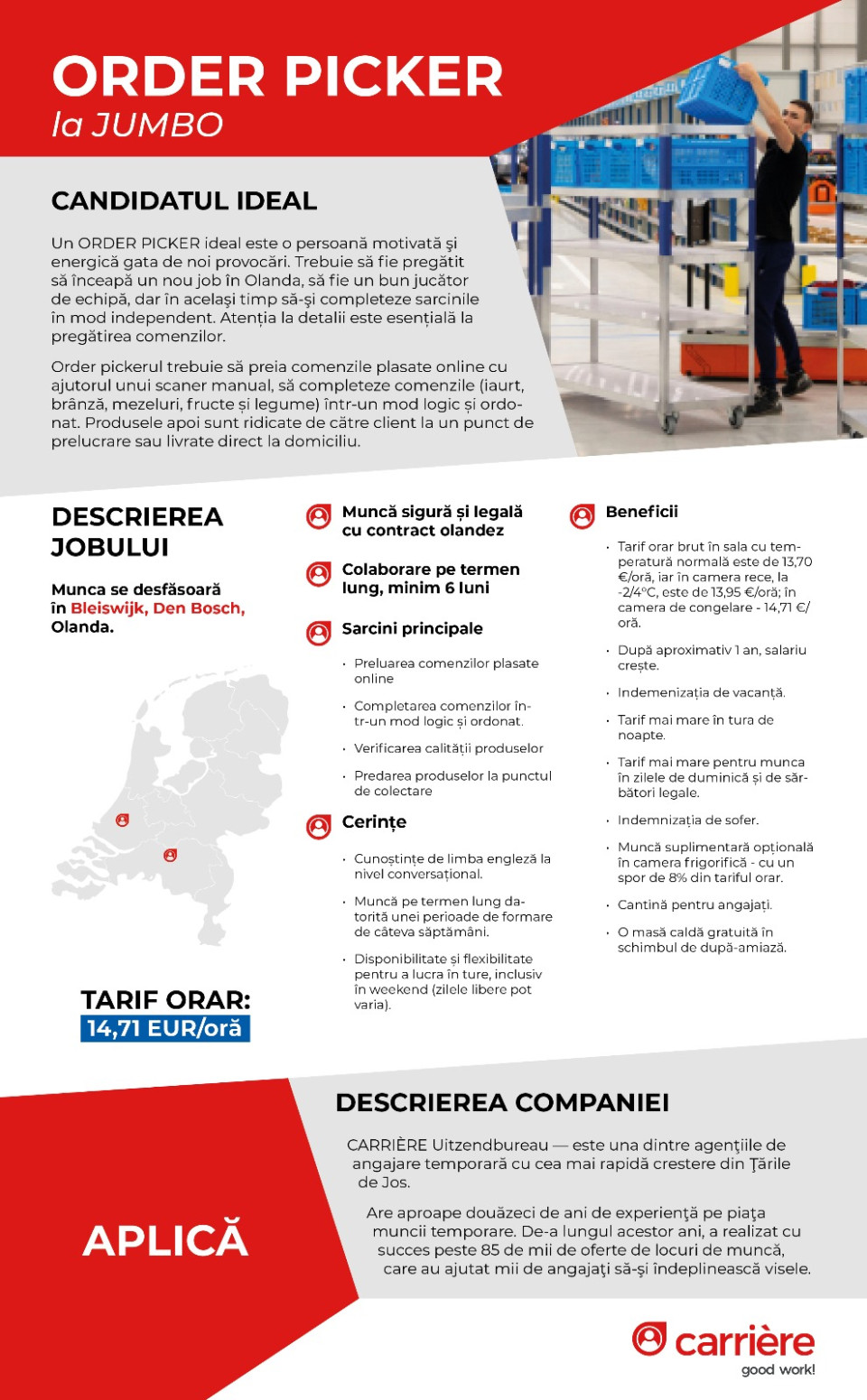 Order picker la Jumbo in Olanda / Manipulant comenzi / 14,71 euro per ora