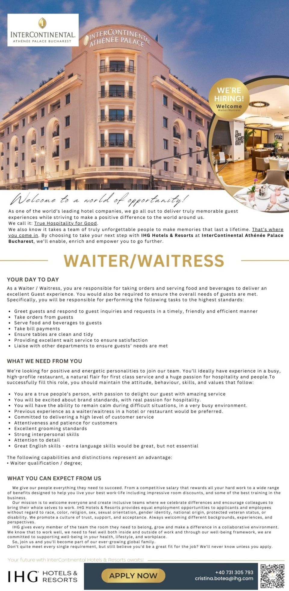 Waiter / Waitress