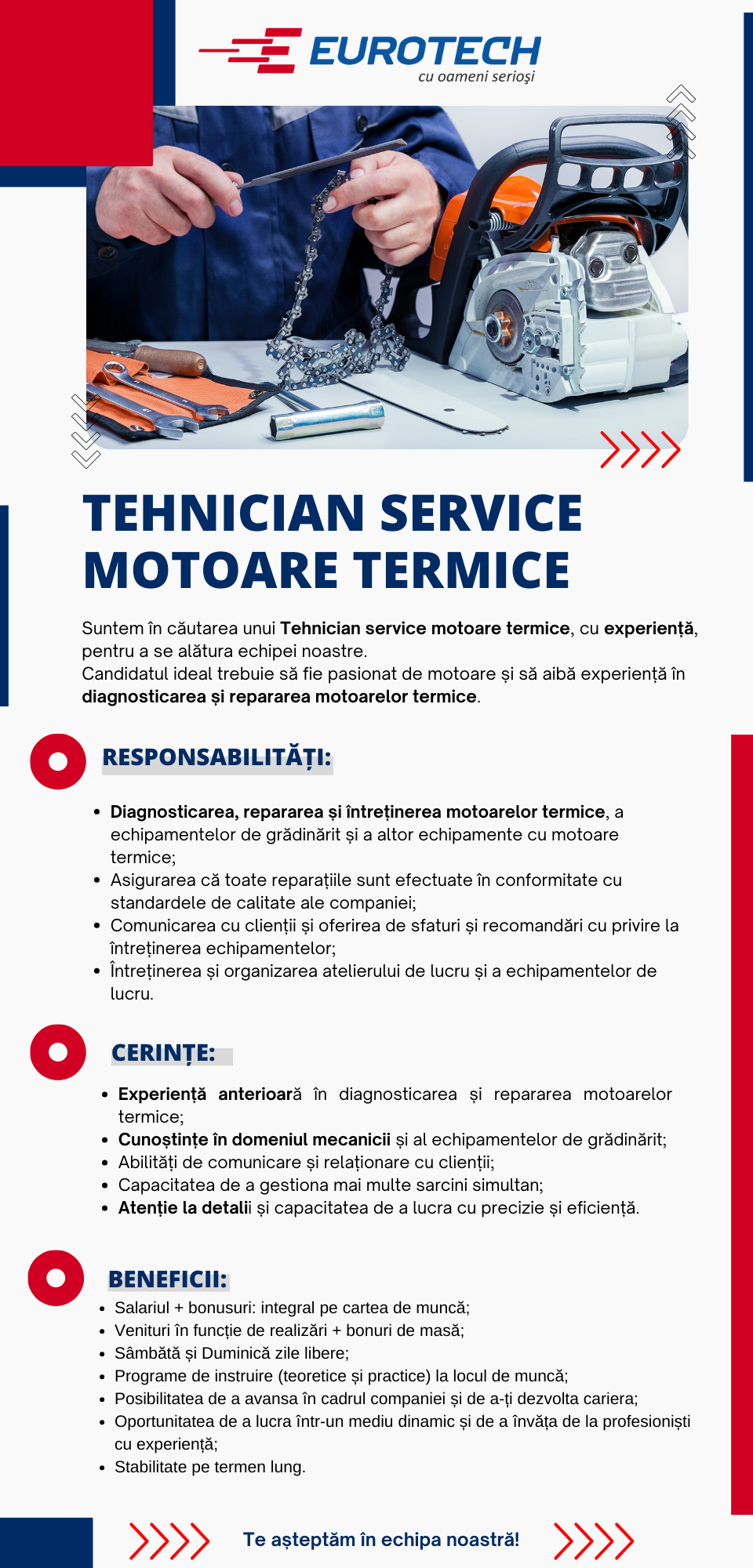 Tehnician/Mecanic Service Motoare Termice