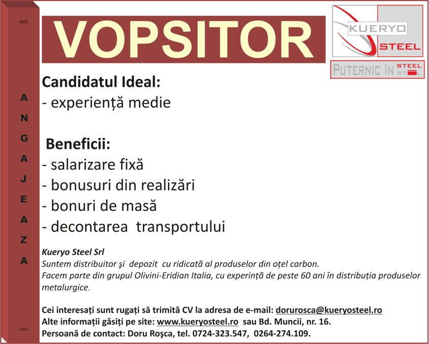 Vopsitor in Cluj-Napoca Salariu Net 3000 ron