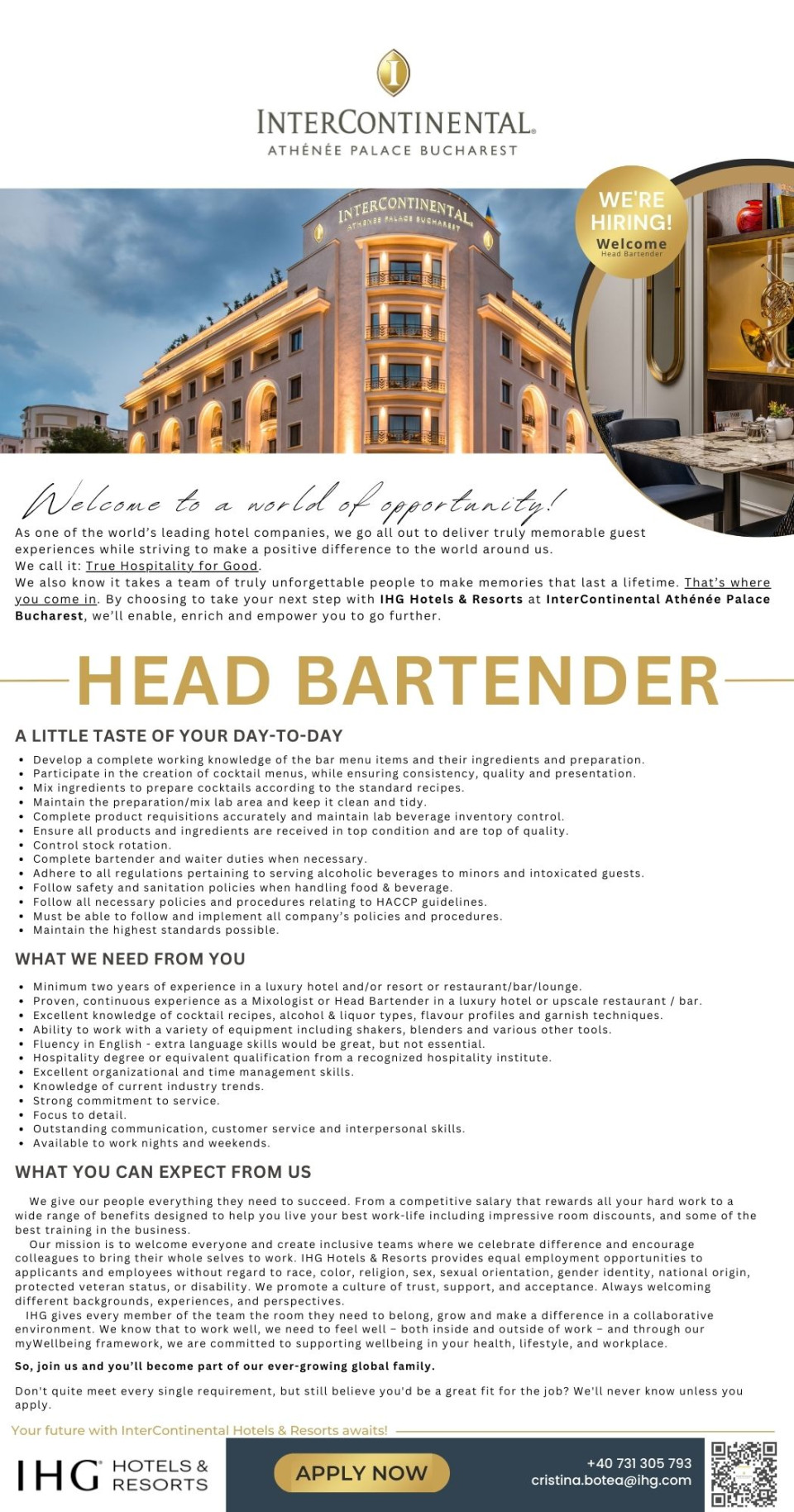 Head Bartender