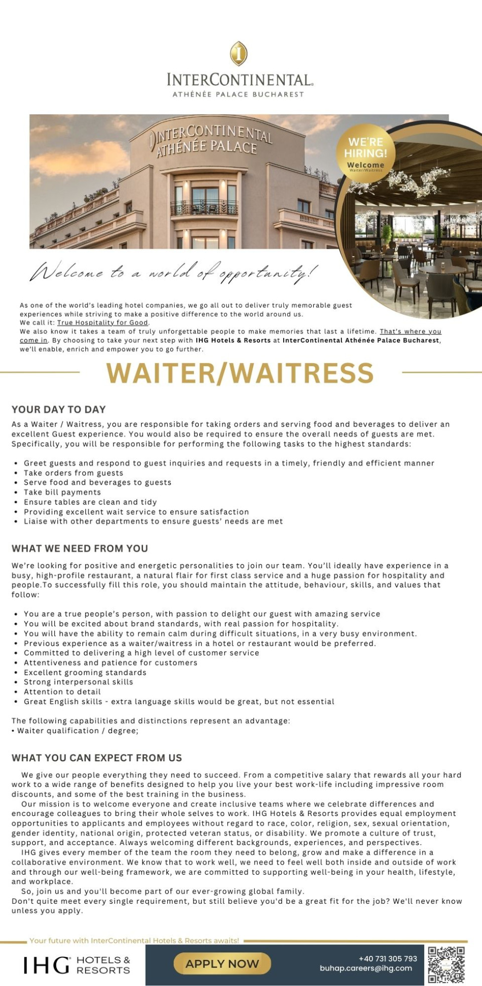 Waiter / Waitress