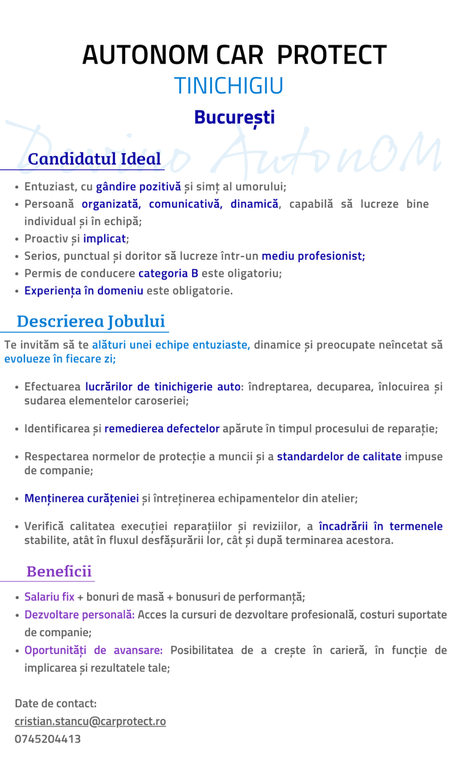 Tinichigiu - Bucuresti