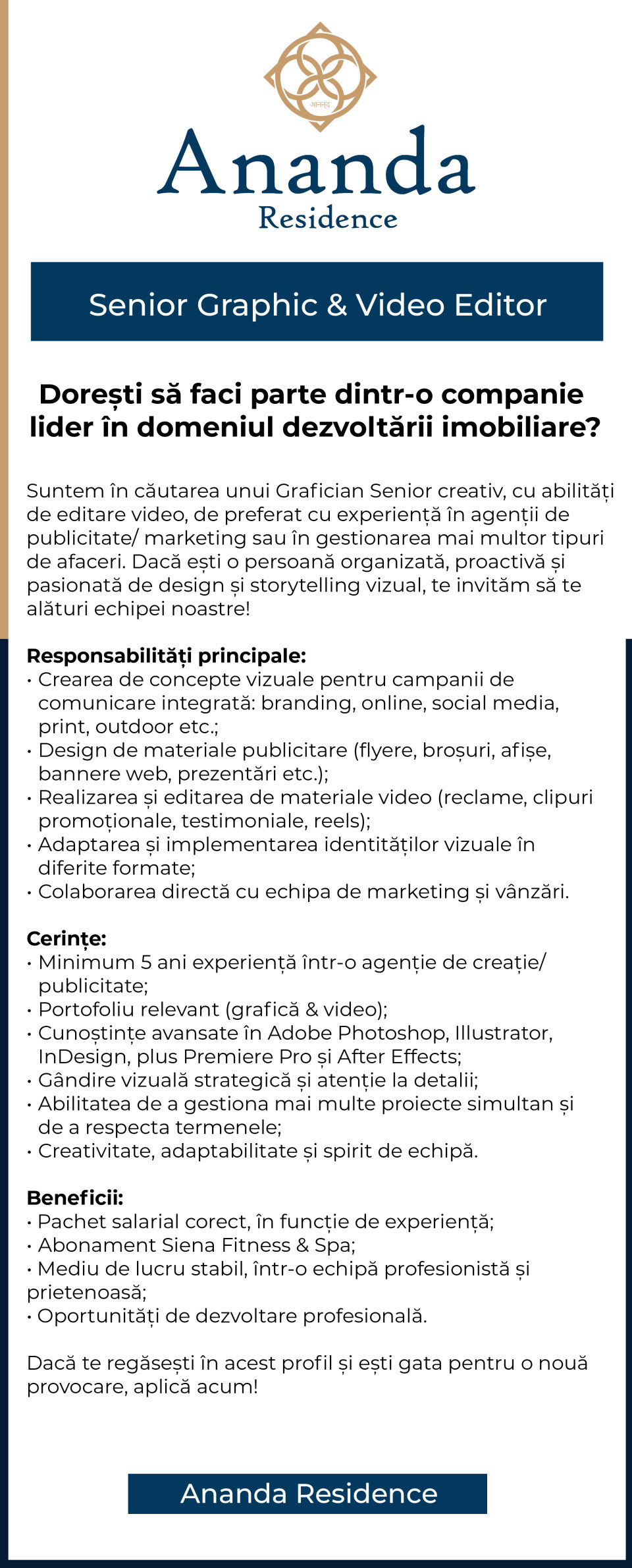 Senior Graphic & Video Editor