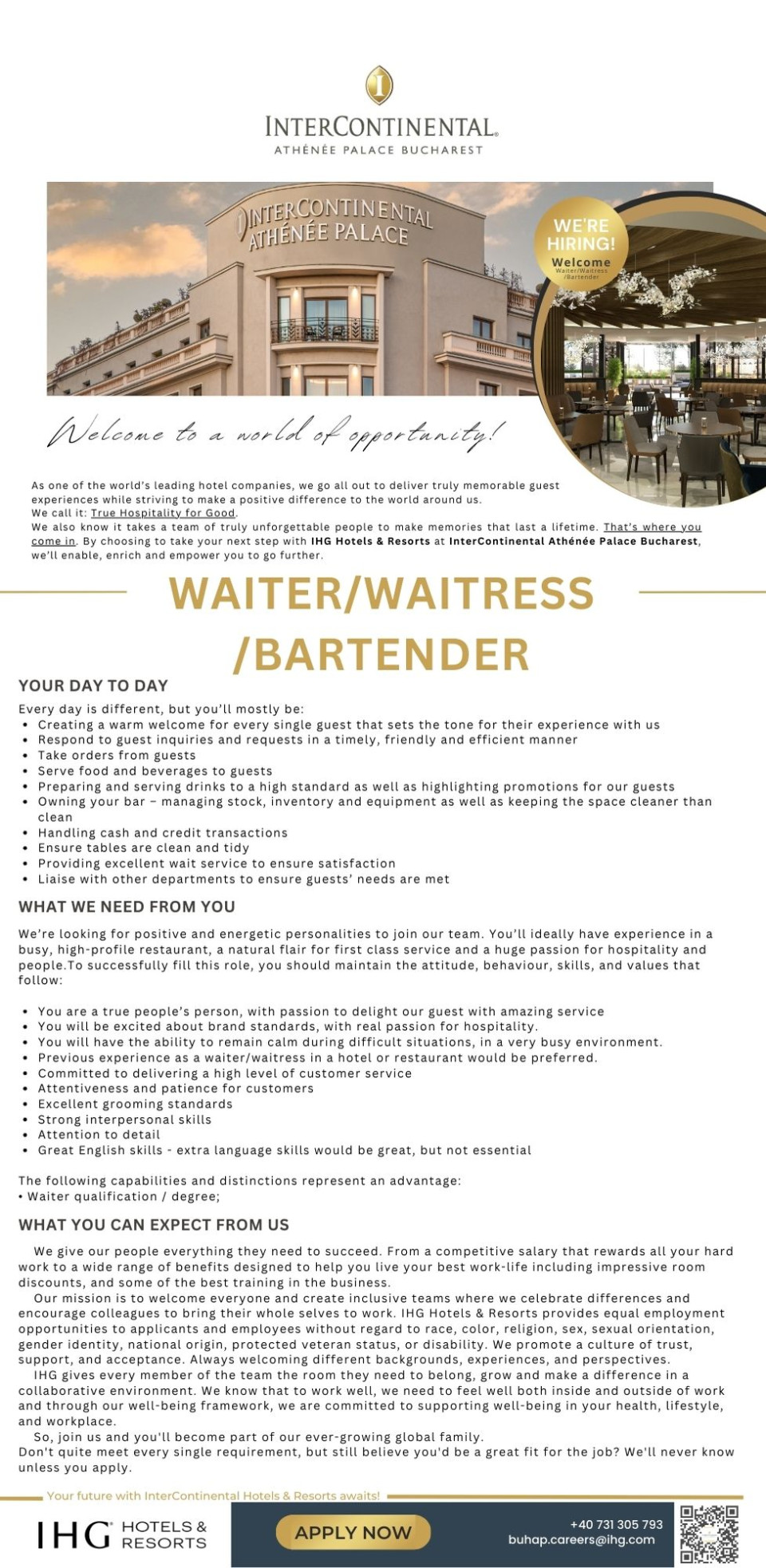 Waiter / Waitress / Bartender