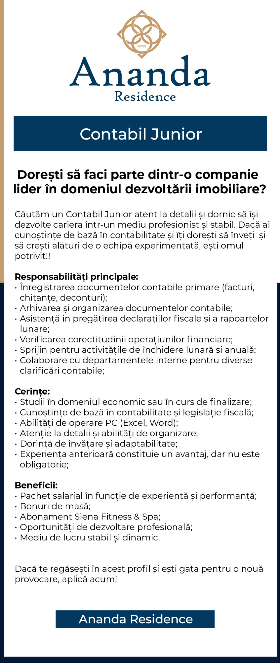 CONTABIL JUNIOR