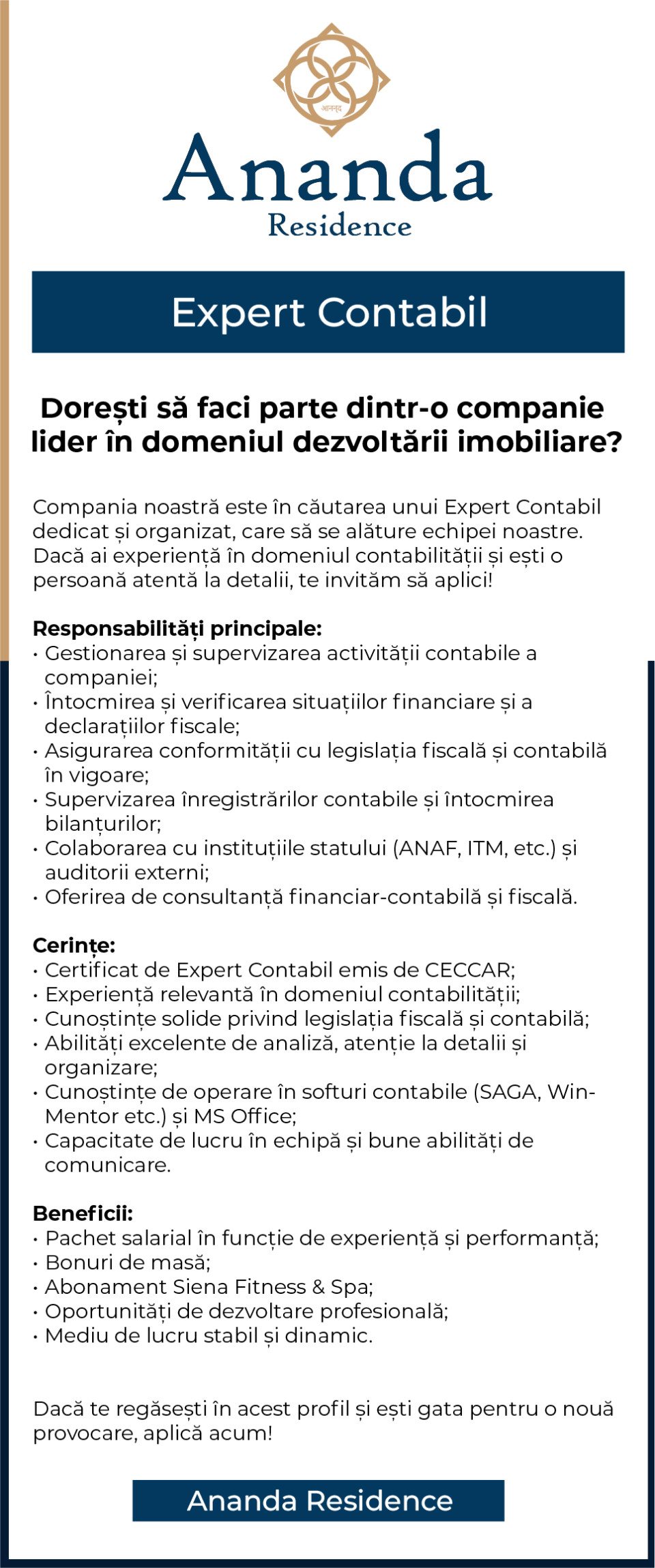EXPERT CONTABIL