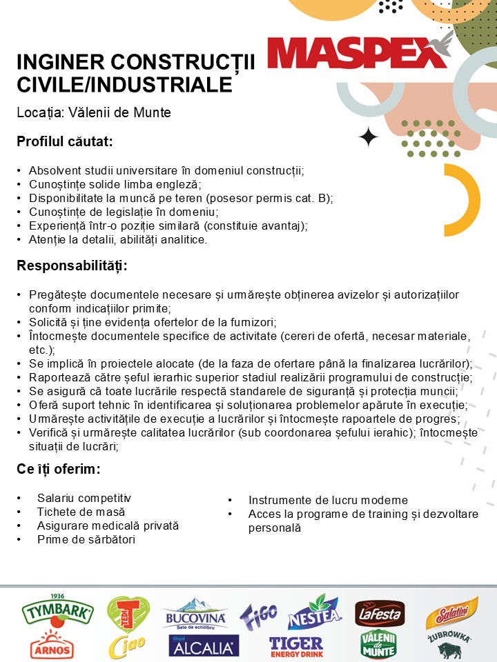 INGINER CONSTRUCTII CIVILE
