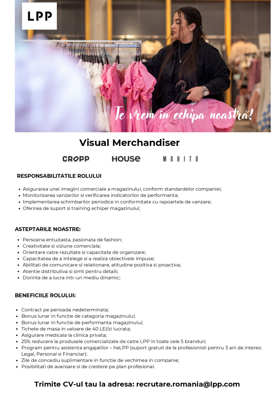 Visual Merchandiser