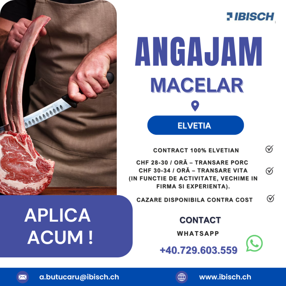 Macelar Transator Carne Porc / Vita - Elvetia