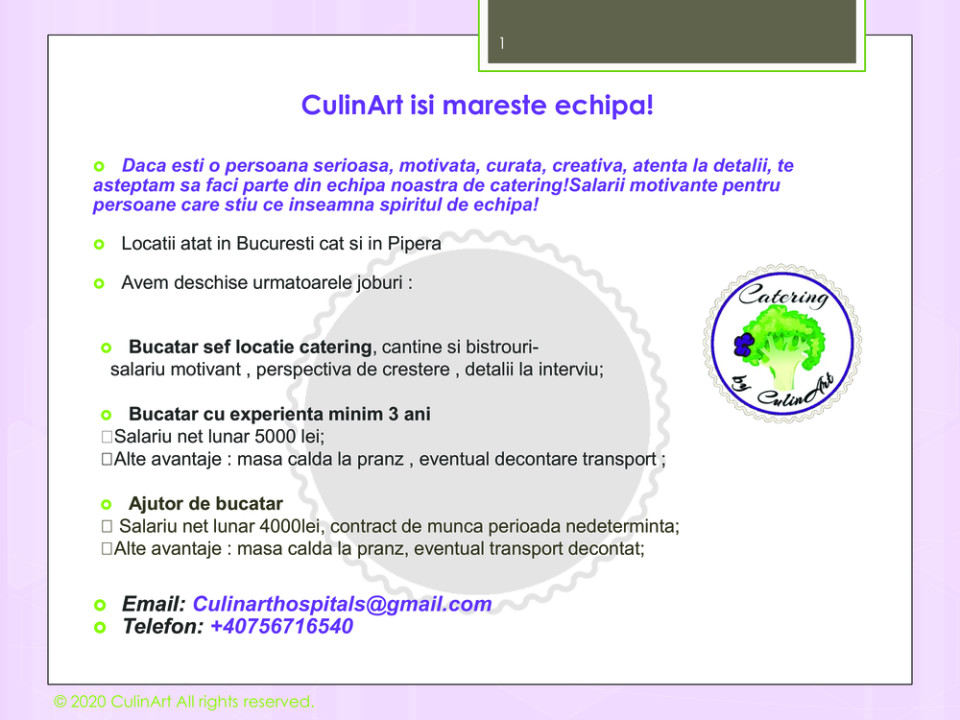 Bucatar, Bucatar sef si Ajutori de bucatar