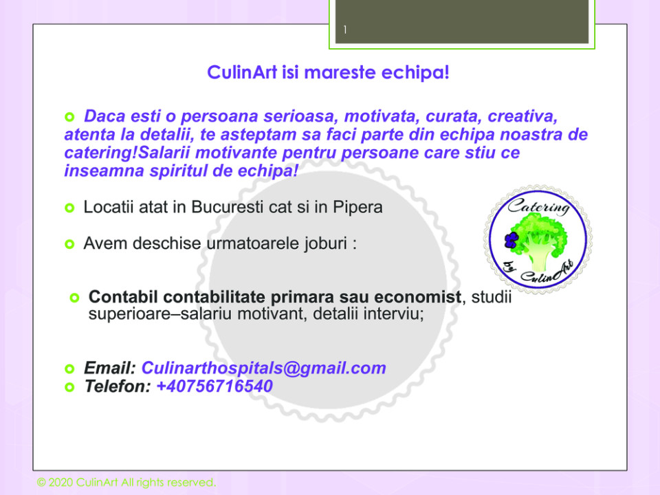 Contabil contabilitate primara sau economist