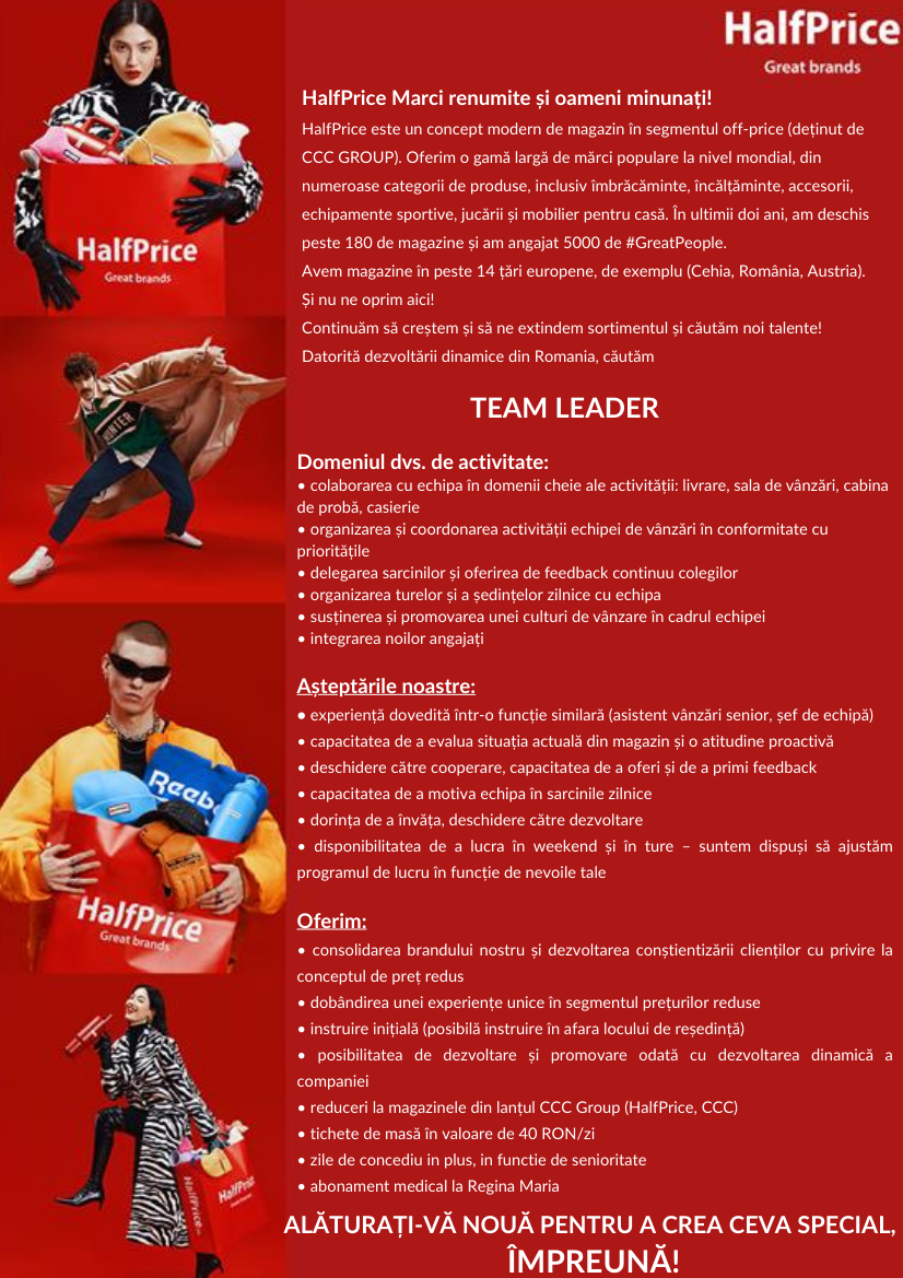 Team Leader (f/m)