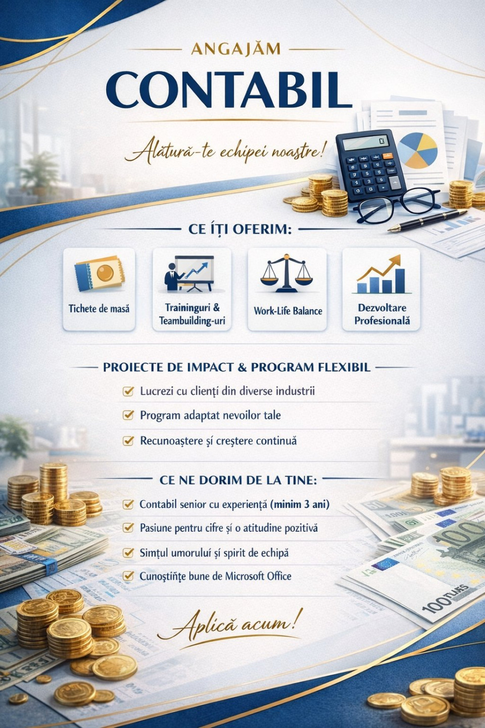 Contabil Senior
