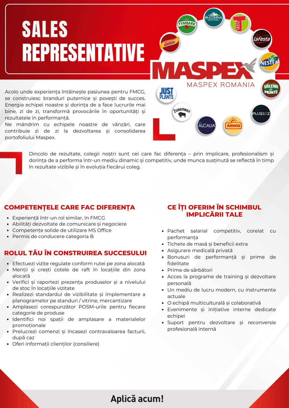 SALES REPRESENTATIVE