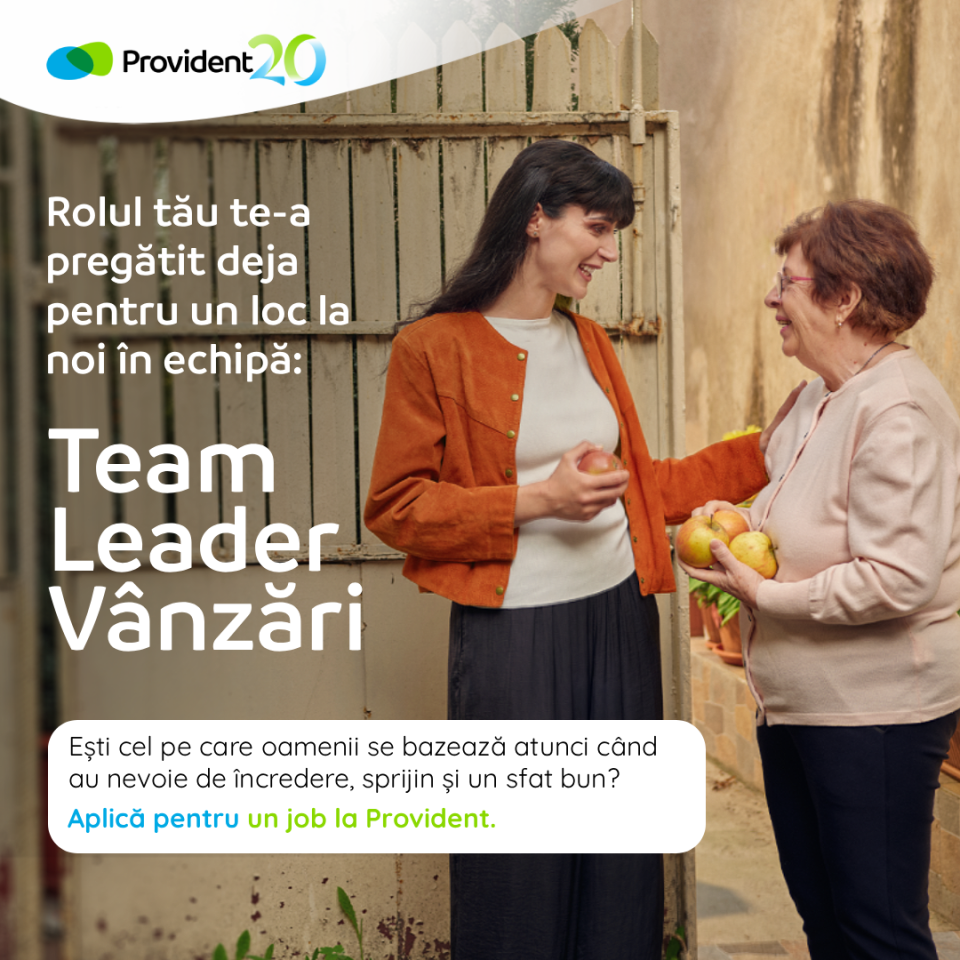 Team Leader Vanzari