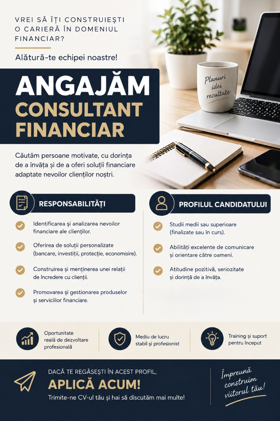 Consultant Financiar